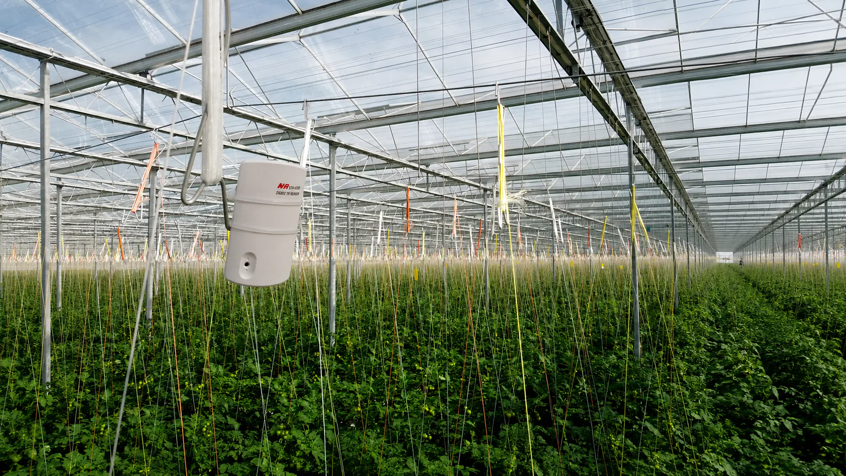 Smart Climate Validation: Stabilizing Tall-Rig Greenhouse Operations in the USA — on-site photo 1