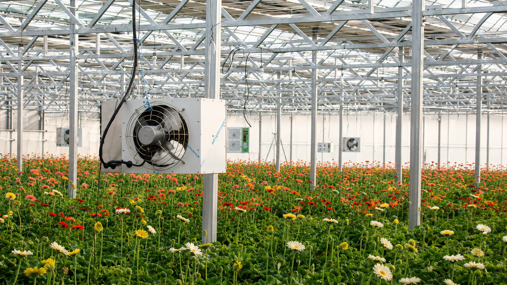Smart Climate Validation: Stabilizing Tall-Rig Greenhouse Operations in the USA — on-site photo 2