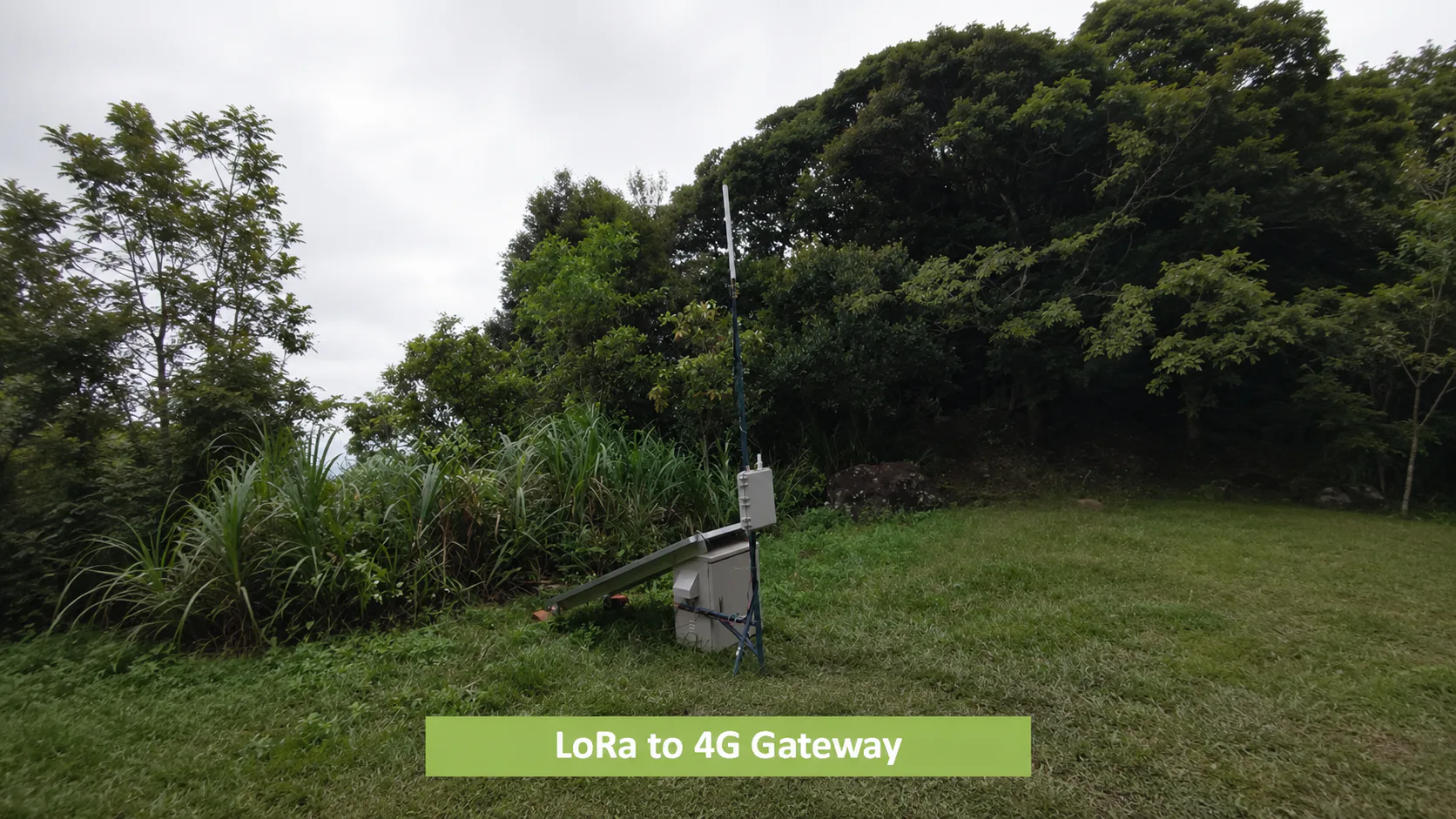 Smart Environmental Monitoring for Organic Farming in India — on-site photo 2