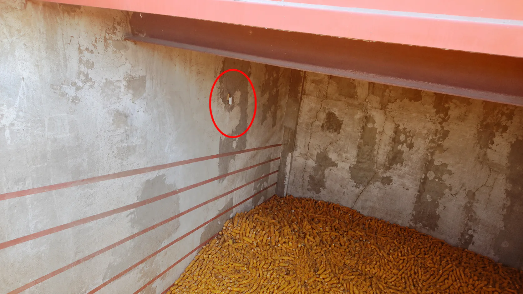 Smart Feed Storage Monitoring for Grain Quality Protection in Chile — on-site photo 2