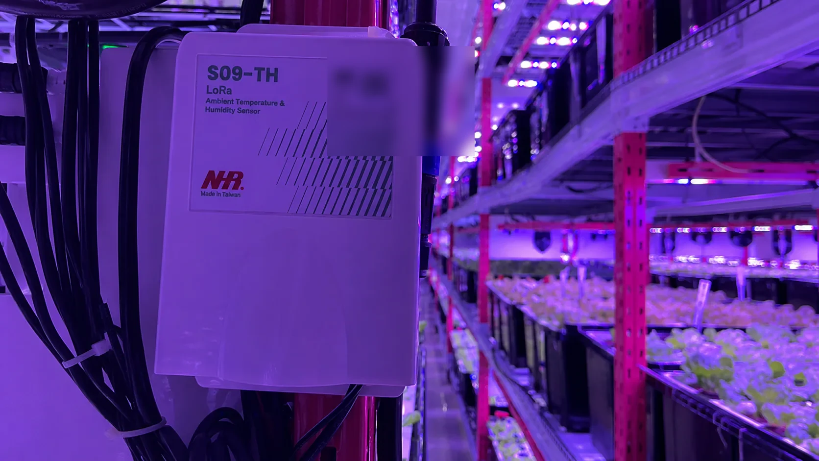 Smart Vertical Farm Monitoring: Stabilizing Production in Singapore — on-site photo 2
