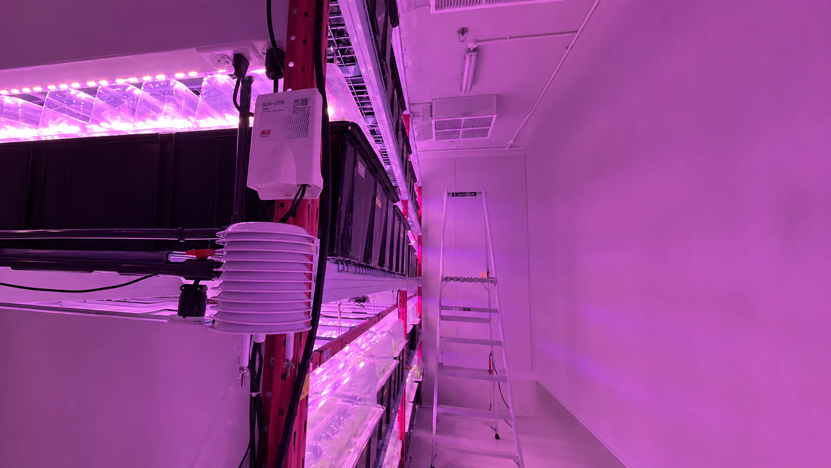 Smart Vertical Farm Monitoring: Stabilizing Production in Singapore — on-site photo 3