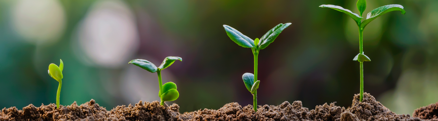 S09-SETH 3 in 1 Soil EC, Temp., Moisture Sensor