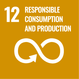 Responsible consumption and production