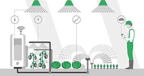 Optimize the recipes from the insights of the analytics in big data