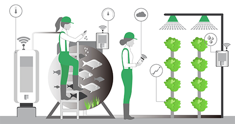 Monitor water quality, optimise water usage, and also for fish's well-being